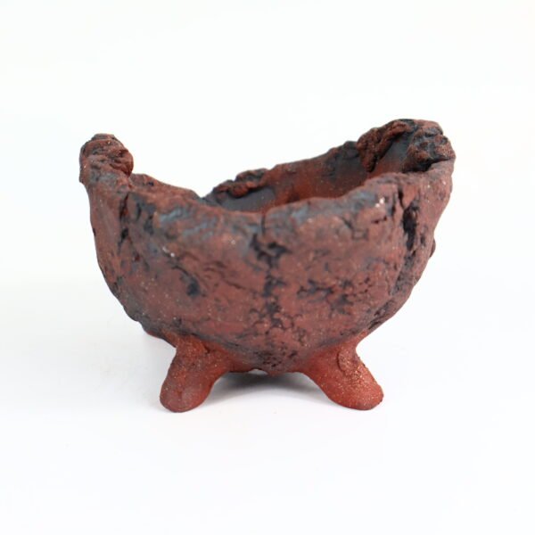 Bonsai Pot Organic Textured 12cm - Image 6