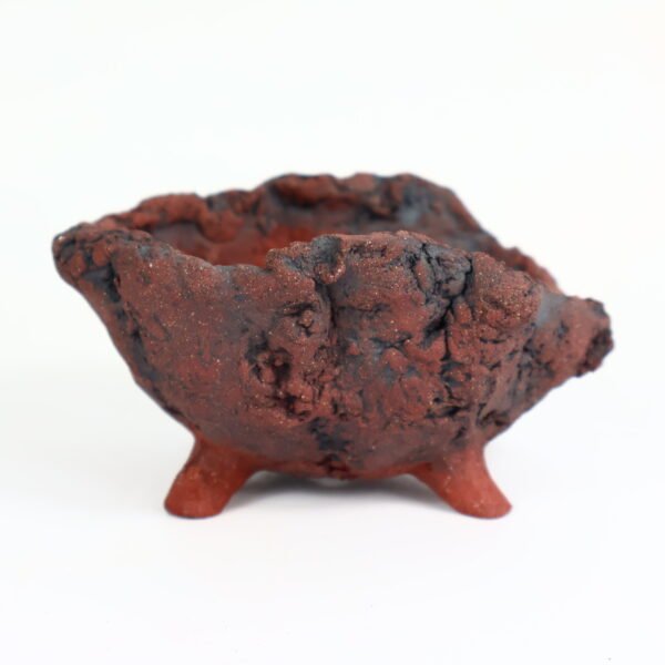 Bonsai Pot Organic Textured 12cm - Image 4