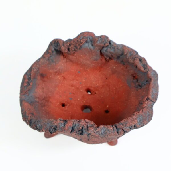 Bonsai Pot Organic Textured 12cm - Image 3