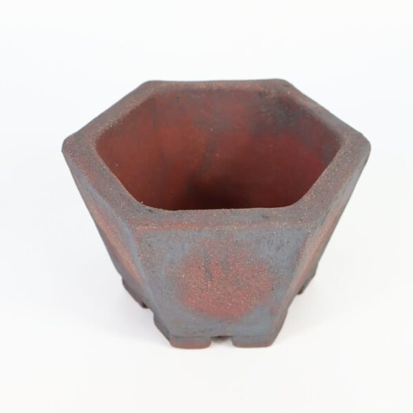 Hexagonal Bonsai Pot Textured 12cm - Image 5