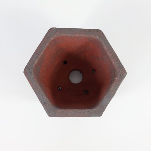 Hexagonal Bonsai Pot Textured 12cm - Image 4