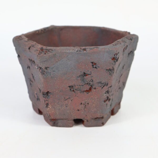 Hexagonal Bonsai Pot Textured 12cm - Image 4