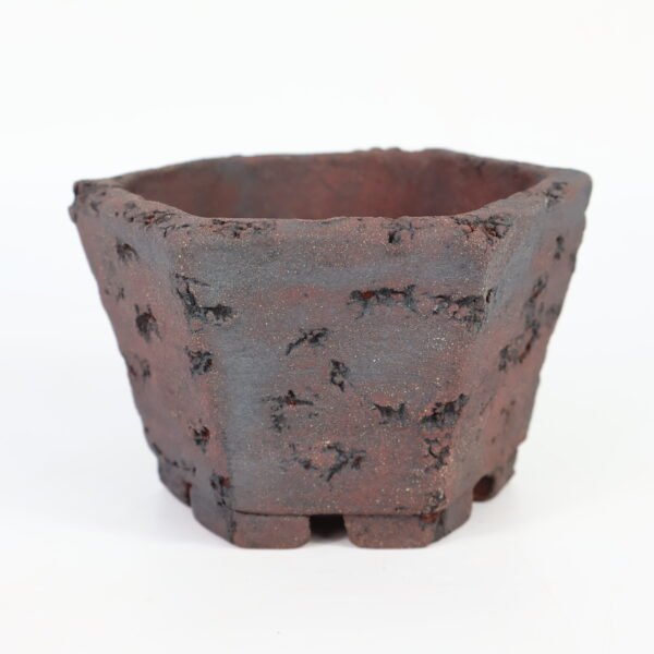 Hexagonal Bonsai Pot Textured 12cm