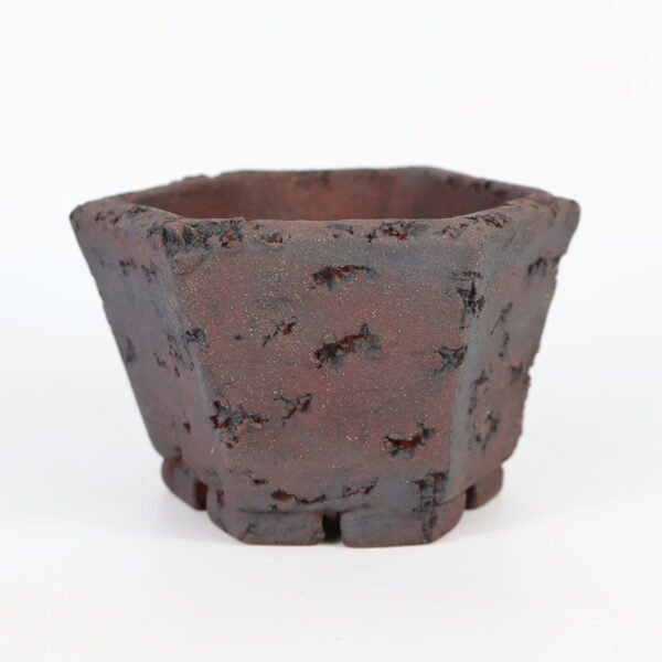Hexagonal Bonsai Pot Textured 12cm - Image 2