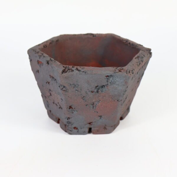 Hexagonal Bonsai Pot Textured 12cm - Image 3