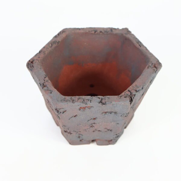 Hexagonal Bonsai Pot Textured 12cm - Image 6