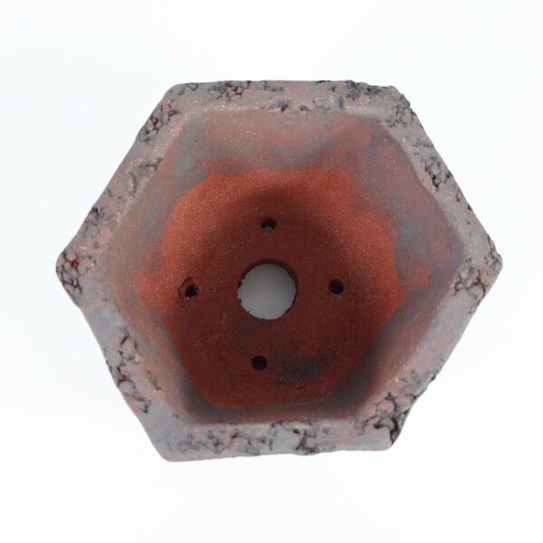 Hexagonal Bonsai Pot Textured 12cm - Image 5