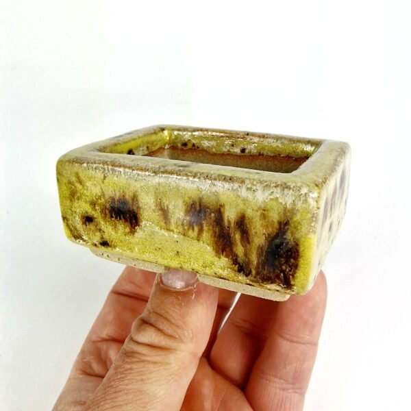 Mame Size Bonsai Pot Yellow Glaze 6.5cm