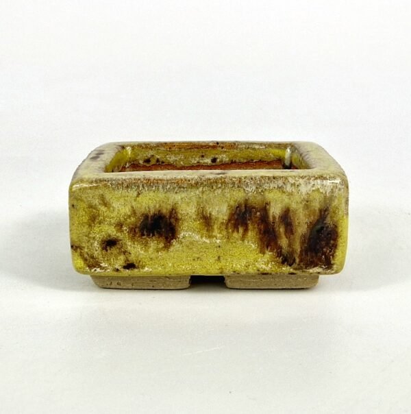 Mame Size Bonsai Pot Yellow Glaze 6.5cm - Image 2