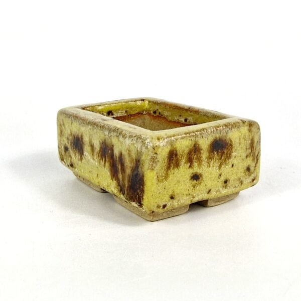 Mame Size Bonsai Pot Yellow Glaze 6.5cm - Image 4