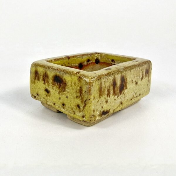 Mame Size Bonsai Pot Yellow Glaze 6.5cm - Image 3